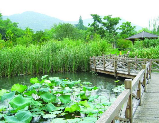 201409151104385858.jpg 廣州園林綠化服務(wù)中心