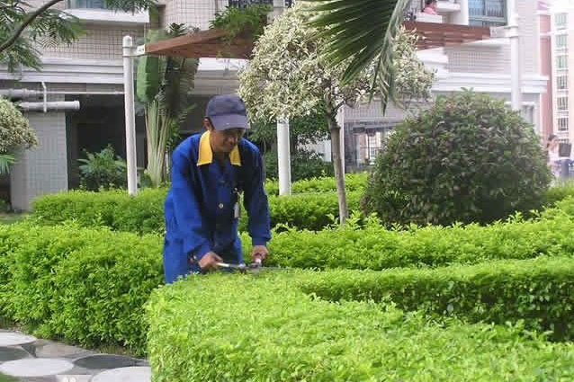 �V�ݾG�����