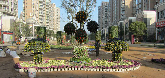 <strong>廣場(chǎng)綠化外包</strong>